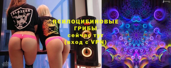 тгк Вяземский